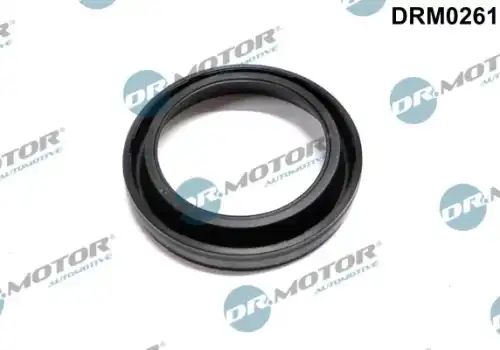 Кольцо уплотнительное форсунки DR. MOTOR DRM0261
