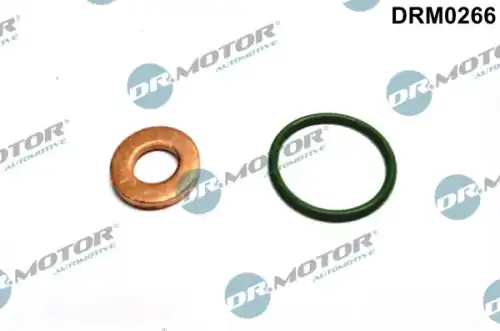 Кольцо уплотнительное форсунки DR. MOTOR DRM0266