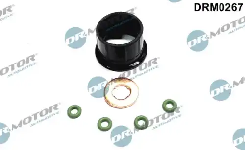 Кольцо уплотнительное форсунки DR. MOTOR DRM0267