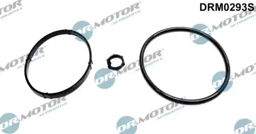 Комплект прокладок двигателя DR. MOTOR DRM0293S