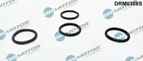 Кольцо уплотнительное форсунки DR. MOTOR DRM0308S