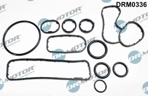 Комплект прокладок двигателя DR. MOTOR DRM0336