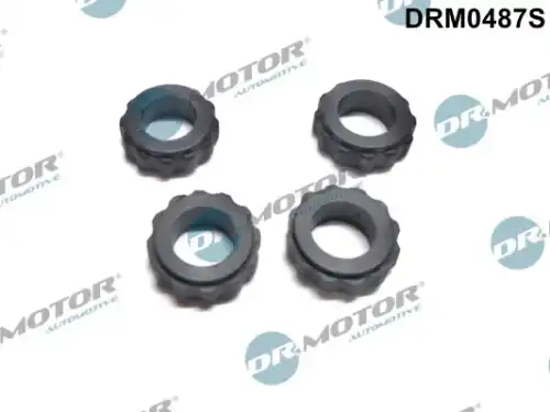 Кольцо уплотнительное форсунки DR. MOTOR DRM0487S