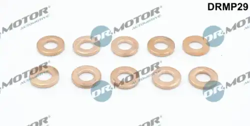 Кольцо уплотнительное форсунки DR. MOTOR DRMP29