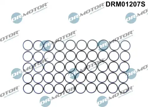 Кольцо уплотнительное форсунки DR. MOTOR DRM01207S