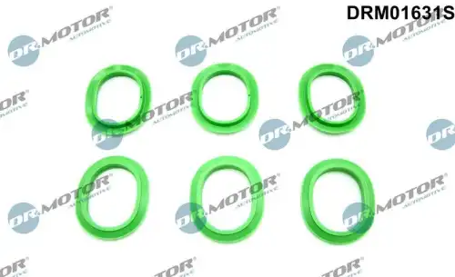 Прокладка коллектора DR. MOTOR DRM01631S