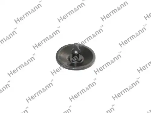 Грибок HR25197575 HERMANN