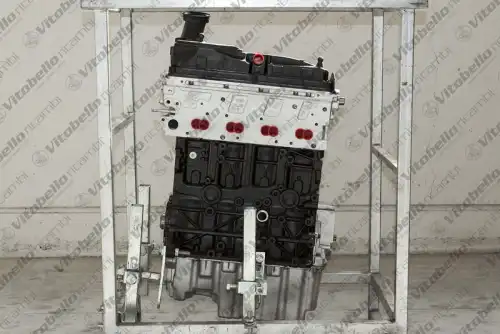 Двигатель в сборе 1000566R VITOBELLO RICAMBI