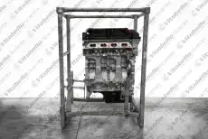 Двигатель в сборе 1000603R VITOBELLO RICAMBI