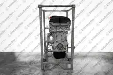 Двигатель в сборе 1000603R VITOBELLO RICAMBI