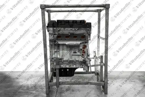Двигатель в сборе 1000603R VITOBELLO RICAMBI