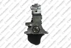 Двигатель в сборе 1000673NO VITOBELLO RICAMBI