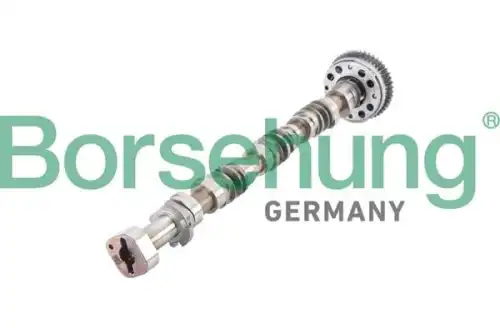 Распредвал BORSEHUNG B12380