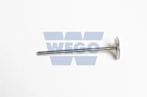 клапан впускной W1012420E WEGO