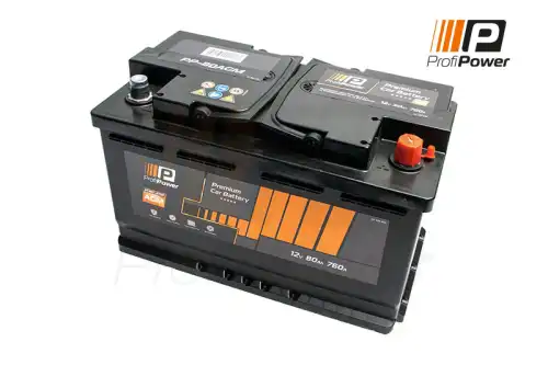 Аккумулятор PROFIPOWER PP-800 AGM