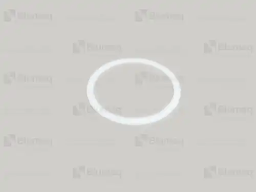 НАКЛЕЙКА 2093015240 OE BLUMAQ