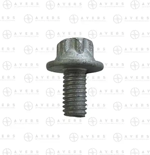 A0009903924 Крепеж AVERS