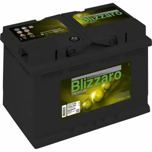 Аккумулятор BLIZZARO 461862