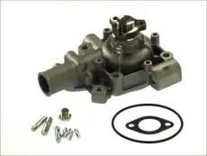 помпа Ren D1R000TT THERMOTEC