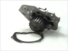 помпа Peug D1P005TT THERMOTEC