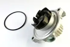 помпа Audi D1A016TT THERMOTEC