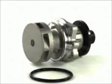 помпа BMW D1B018TT THERMOTEC