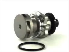 помпа BMW D1B018TT THERMOTEC