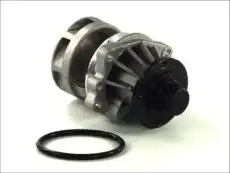 помпа BMW D1B018TT THERMOTEC