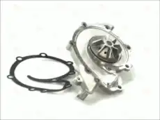 помпа Ren D1R022TT THERMOTEC