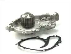 помпа Ren D1R022TT THERMOTEC