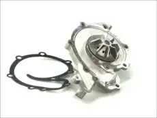 помпа Ren D1R022TT THERMOTEC