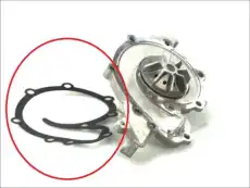 помпа Ren D1R022TT THERMOTEC