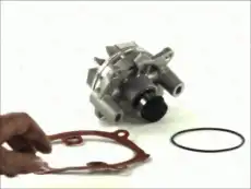 помпа Ren D1X045TT THERMOTEC