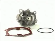 помпа Ren D1X045TT THERMOTEC