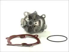 помпа Ren D1X045TT THERMOTEC