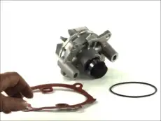 помпа Ren D1X045TT THERMOTEC