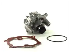 помпа Ren D1X045TT THERMOTEC