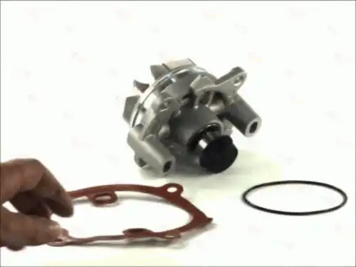 помпа Ren D1X045TT THERMOTEC