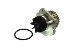 помпа Citr D1P044TT THERMOTEC