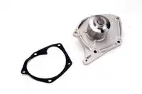 помпа Ren D1R041TT THERMOTEC