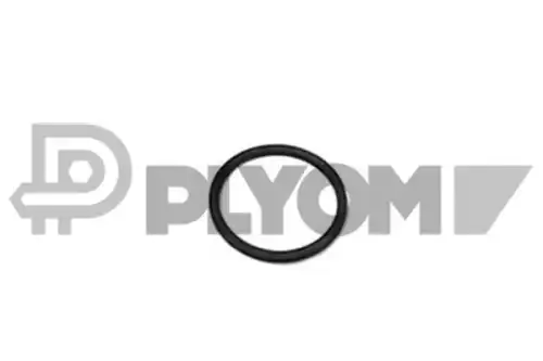 Прокладка, термостат P952041 PLYOM