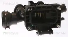 Термостат системы охлаждения TRISCAN 8620 55398