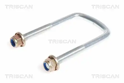 Рессора 8765 250001 TRISCAN