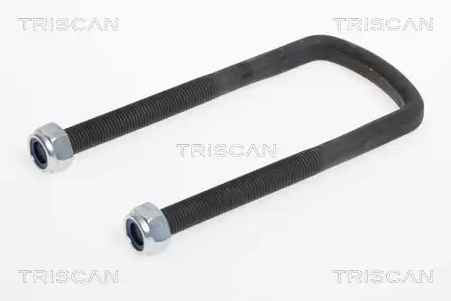 Стремянка рессоры TRISCAN 8765 230001