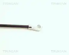 Амортизатор капота TRISCAN 8710 16102