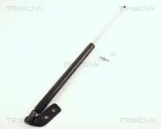 гофра глушителя Isuz 8710 50211 TRISCAN