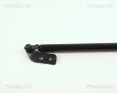 гофра глушителя Isuz 8710 50211 TRISCAN