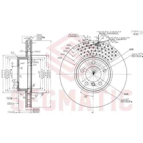 Тормозной диск SEGMATIC SBD30093464