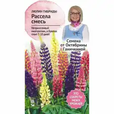 https://img.armtek.ru/img/article/688/68805420/230x230/68805420_0.webp