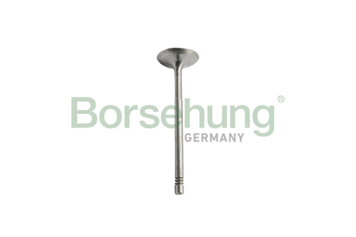 B10351 Клапан впускной BORSEHUNG